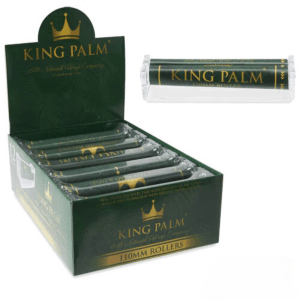 King Palm