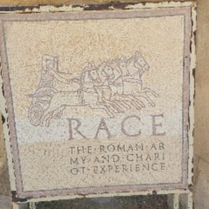 Exploring Roman Chariot Ruins in Jaresh Blog Photo 1